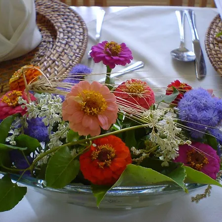 Gaststaette & Jaegerwaeldchen Guest house