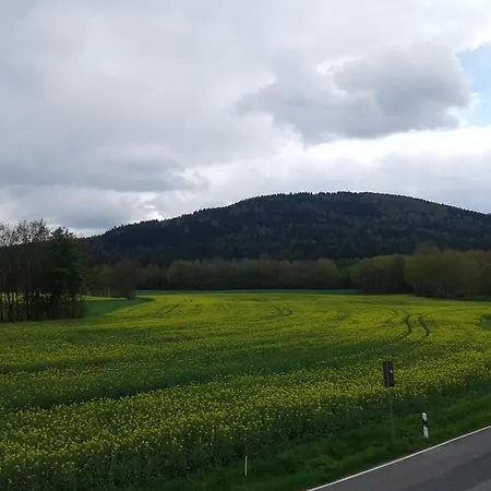 Gaststaette & Jaegerwaeldchen 게스트하우스