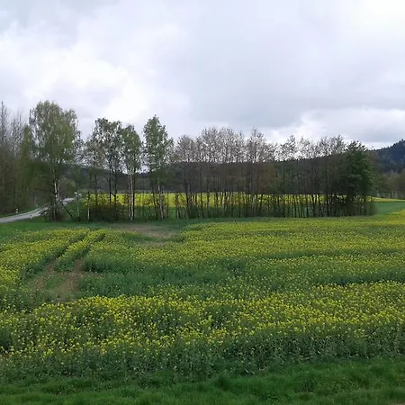 Gaststaette & Jaegerwaeldchen 3*