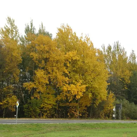 Πανσιόν Gaststaette & Jaegerwaeldchen 3*