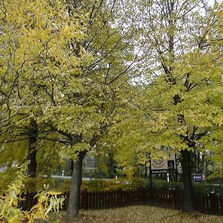 Gaststaette & Jaegerwaeldchen 3* 베르츠도르프