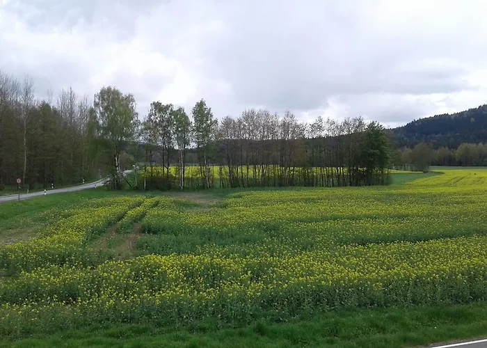 Gaststaette & Jaegerwaeldchen 3*