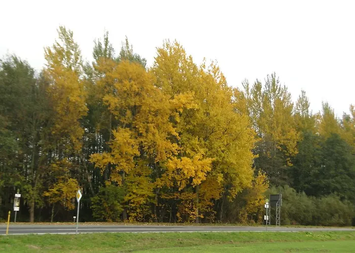 Πανσιόν Gaststaette & Jaegerwaeldchen 3*