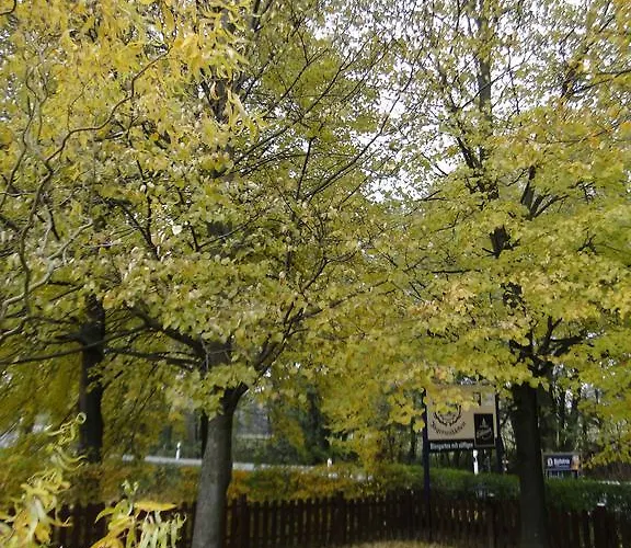 Gaststätte&pension Jägerwäldchen 3* Bertsdorf