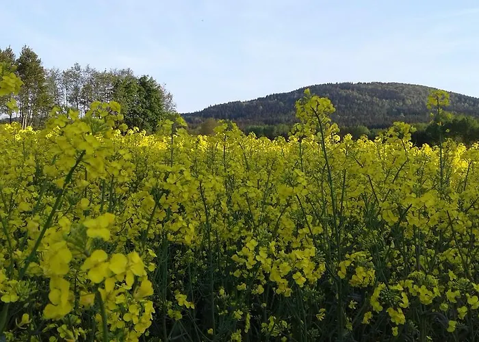 Gaststaette & Jaegerwaeldchen Πανσιόν