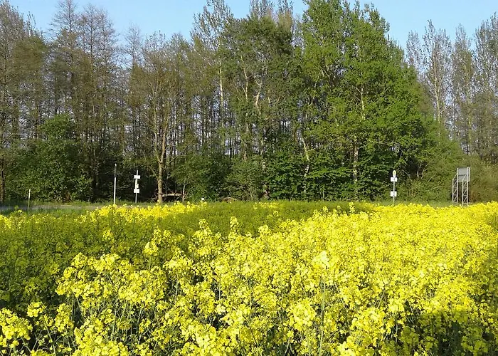 Gaststaette & Jaegerwaeldchen 3*